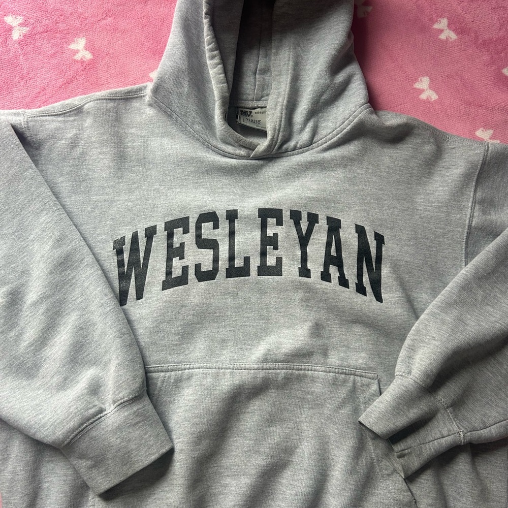 Gray Wesleyan Hoodie